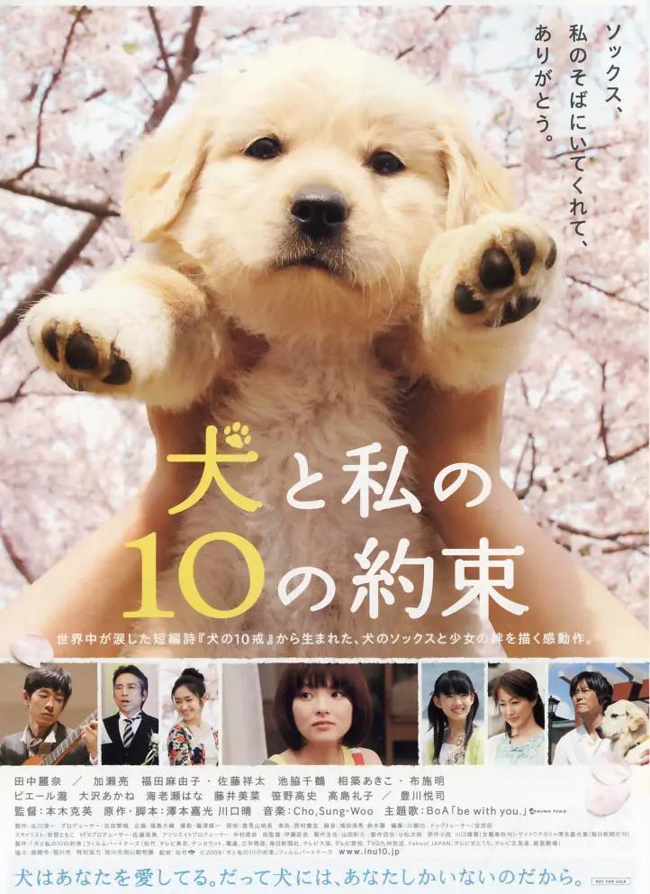 日本三级片电影(⛑)