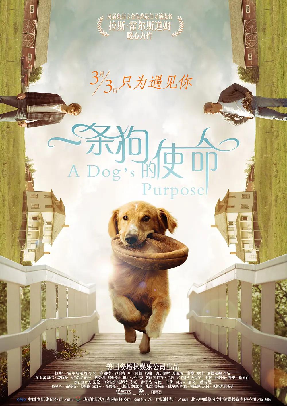 麻豆国产传媒精品视频(🏭)