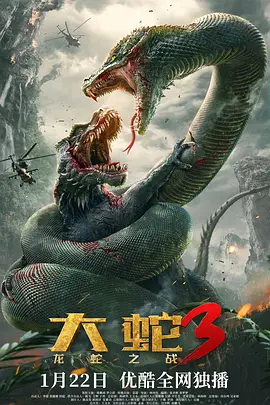 大蛇3：龙蛇之战[电影解说]