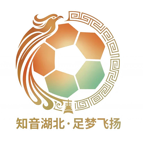 湖北省城市足球联赛 孝感孝傲江湖队VS仙桃黄鳝队20260523