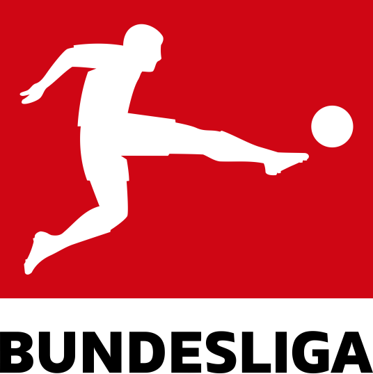德甲 霍芬海姆vs拜仁慕尼黑20250517