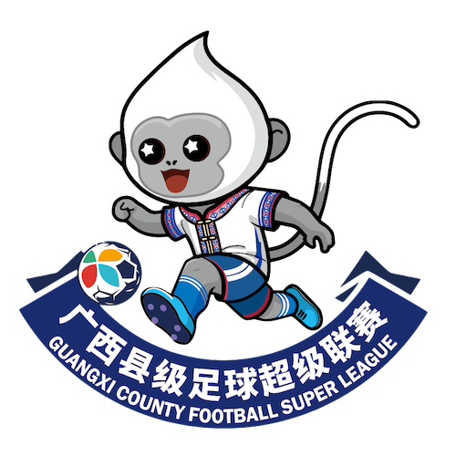 广西县级足球超级联赛 梧州市苍梧县队2.0贵港市桂平市队20260131